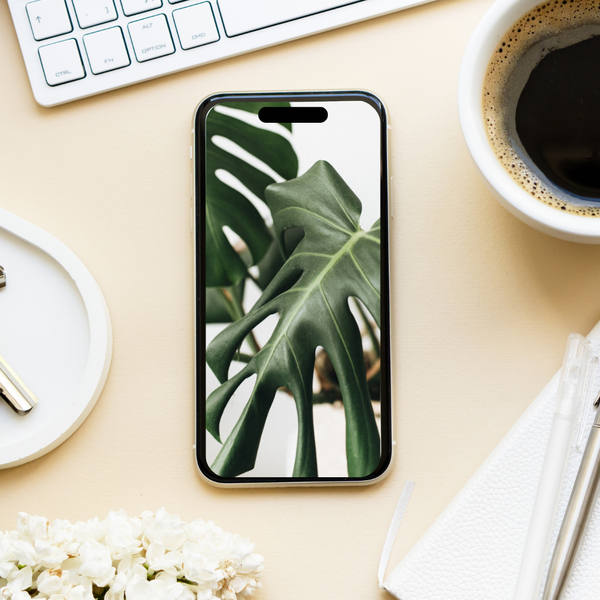 Phone Cases